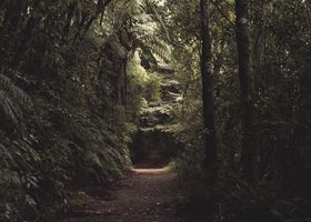 Fernwood